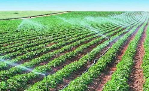 和美女靠逼视频网站农田高 效节水灌溉